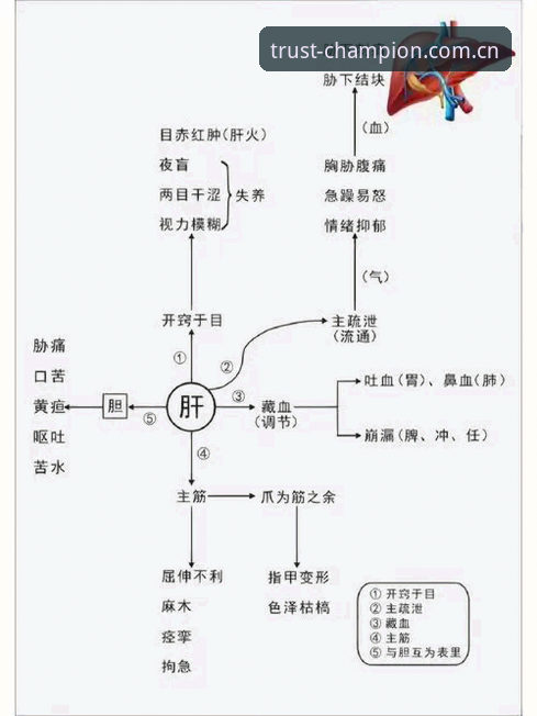 7个关键点详解冠军品牌精神功能：从新手到达人的进阶指南